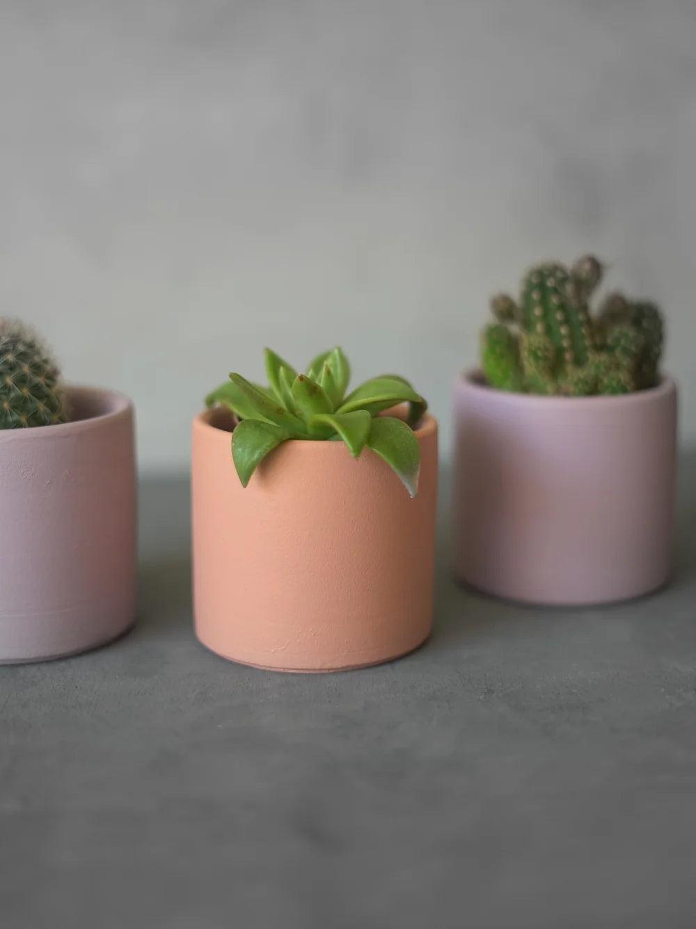 CerAmor Cerâmica Vasos - Mini Vaso Cerâmica para plantas e catos