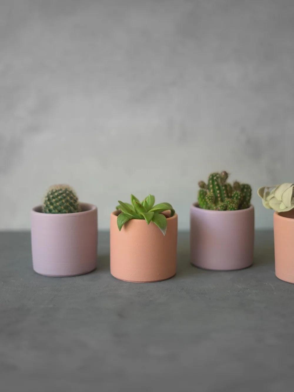 CerAmor Cerâmica Vasos - Mini Vaso Cerâmica para plantas e catos