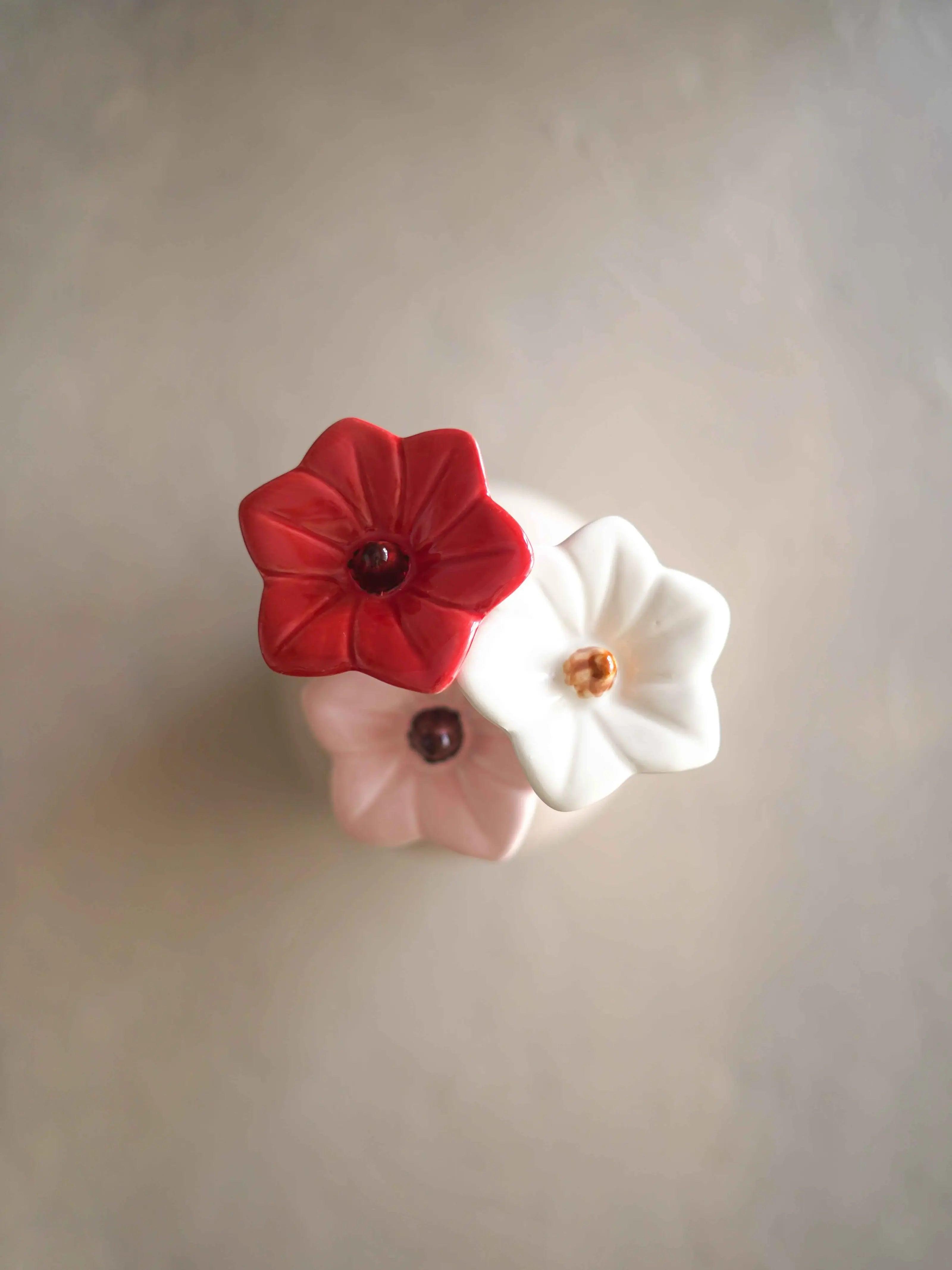 CerAmor Flores Ceramica - Flor de ceramica Coroa de Rei 